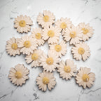 Daisy soy wax candles on a marble surface