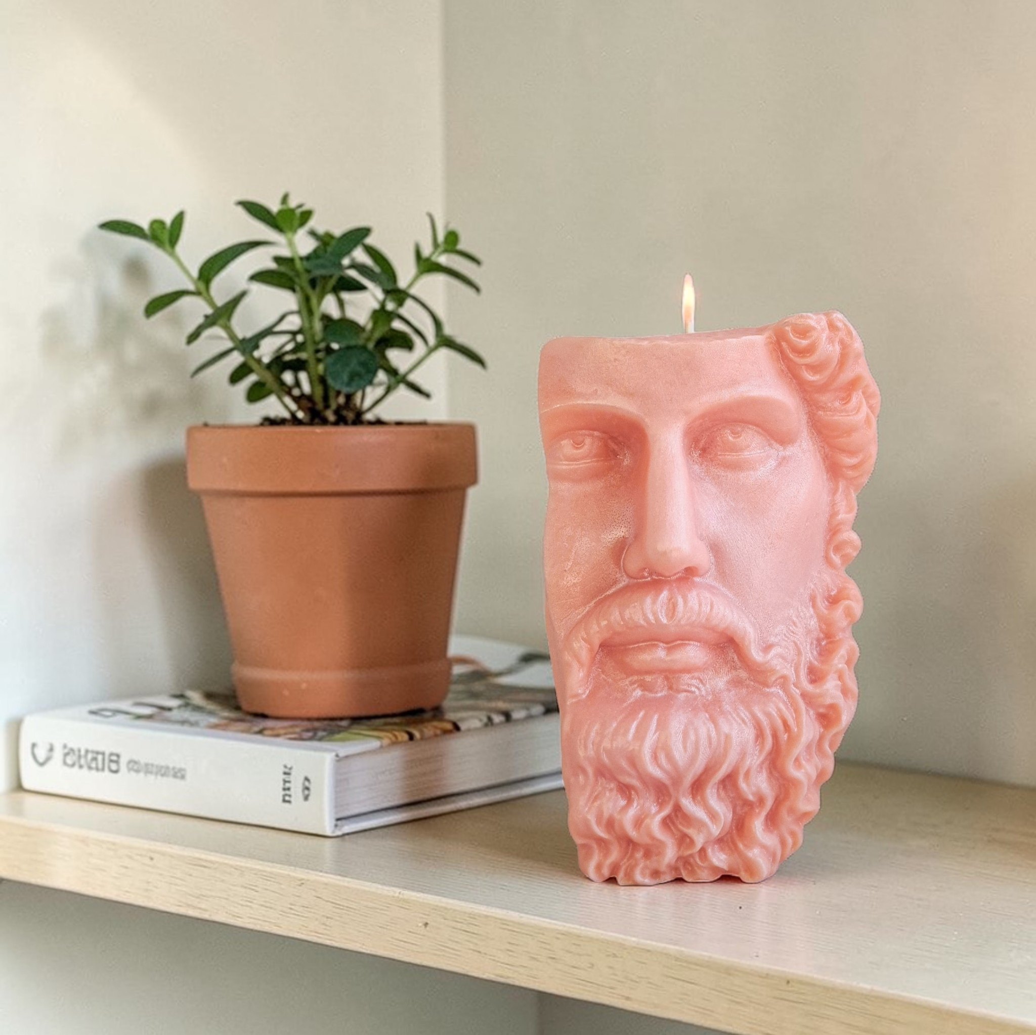 Pink candle shaped like a face with a plant and books on a shelf